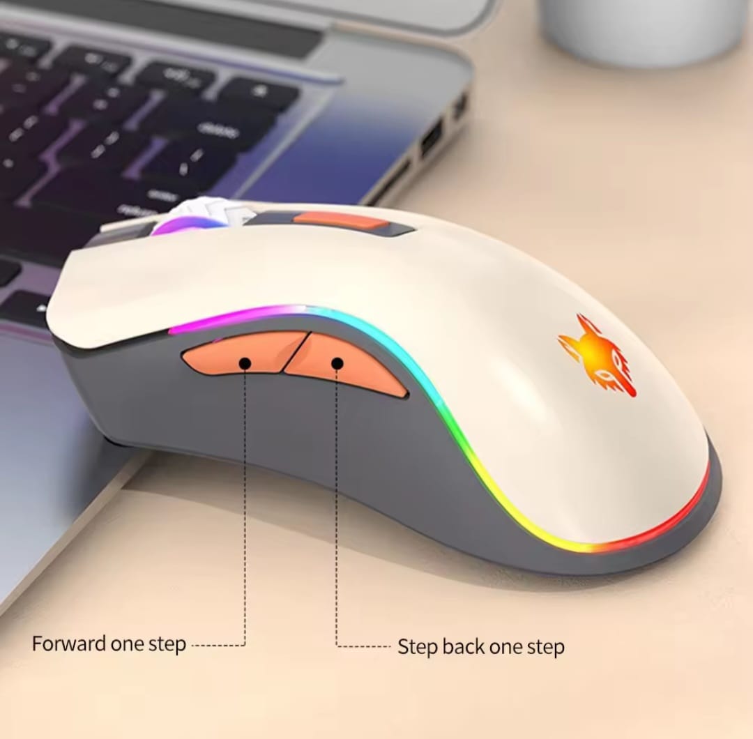 Souris de jeu ergonomique sans fil, 10 millions de touches, 2.4G, RVB, 3200 ug I, 11 modes déclairage RVB, mécanique