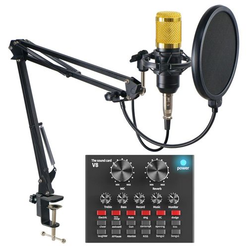 kit Microphone à condensateur BM800 + carte son V8
