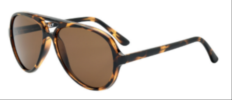 Lunettes de soleil pour homme