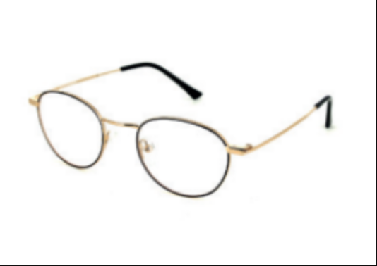 Lunettes Optique homme