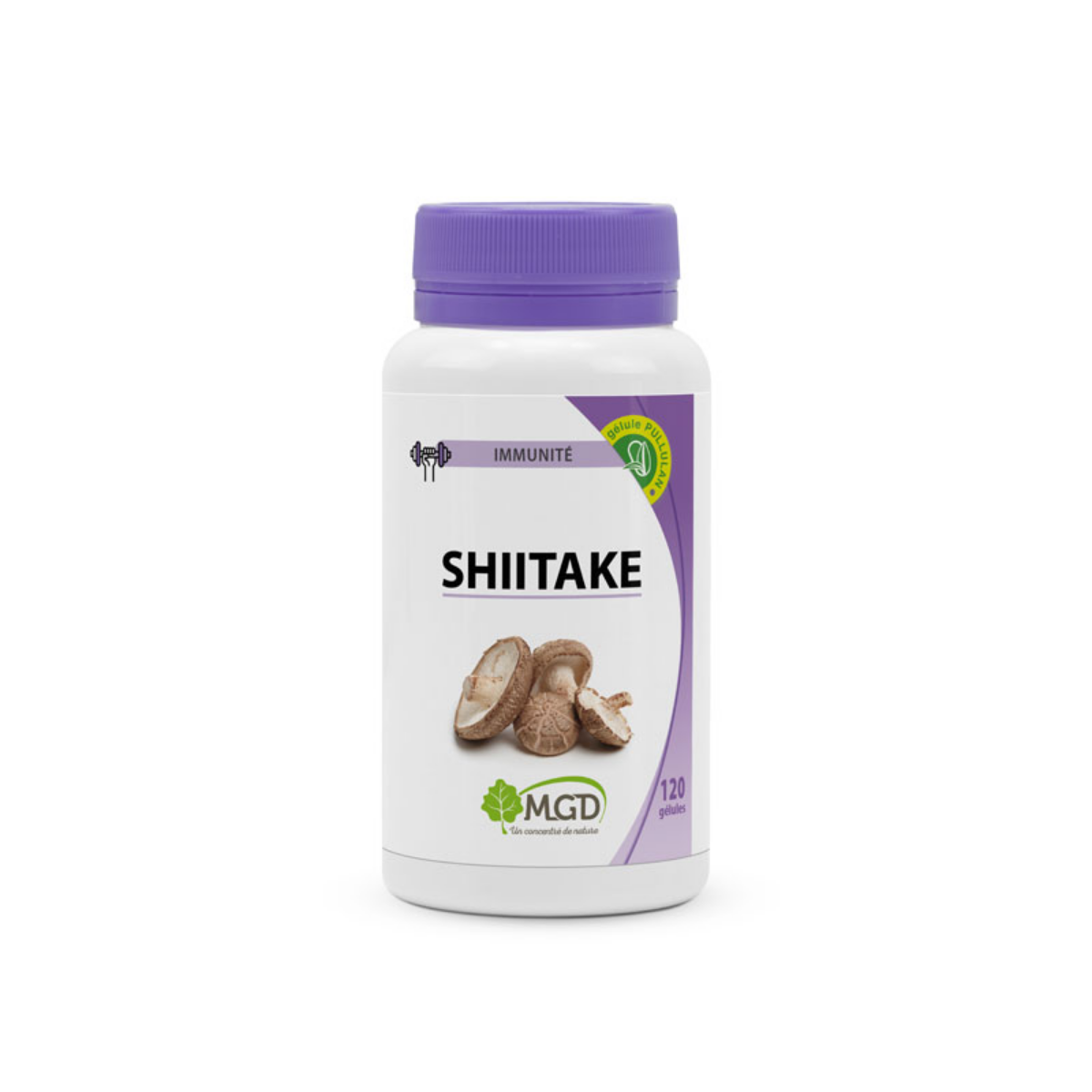 Shiitake