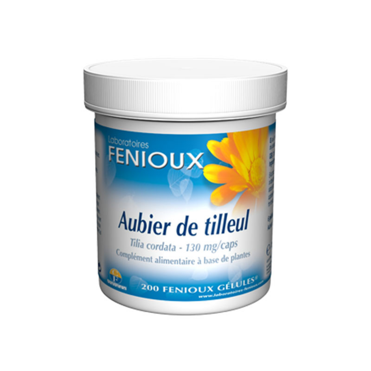 Aubier de Tilleul