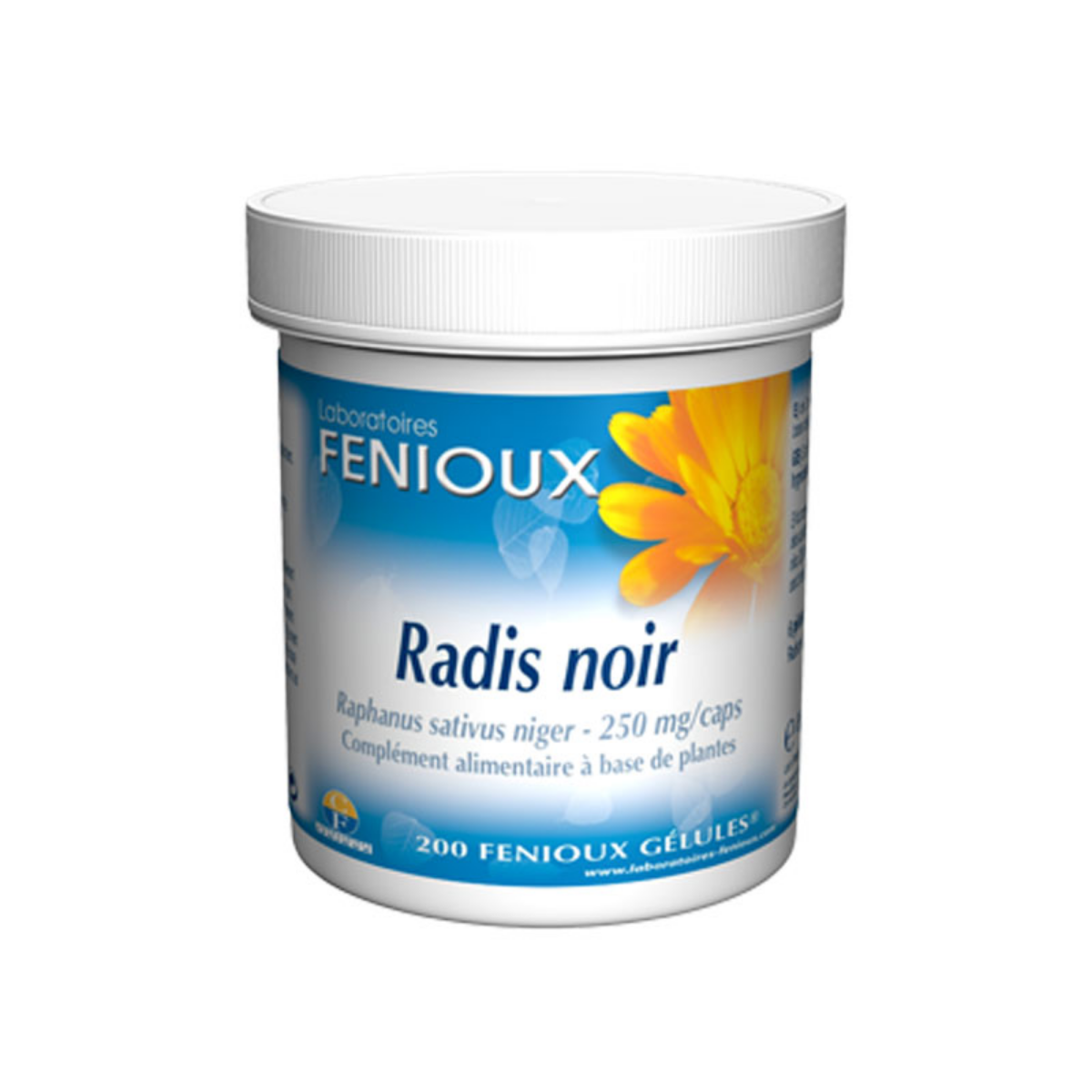 Radis Noir