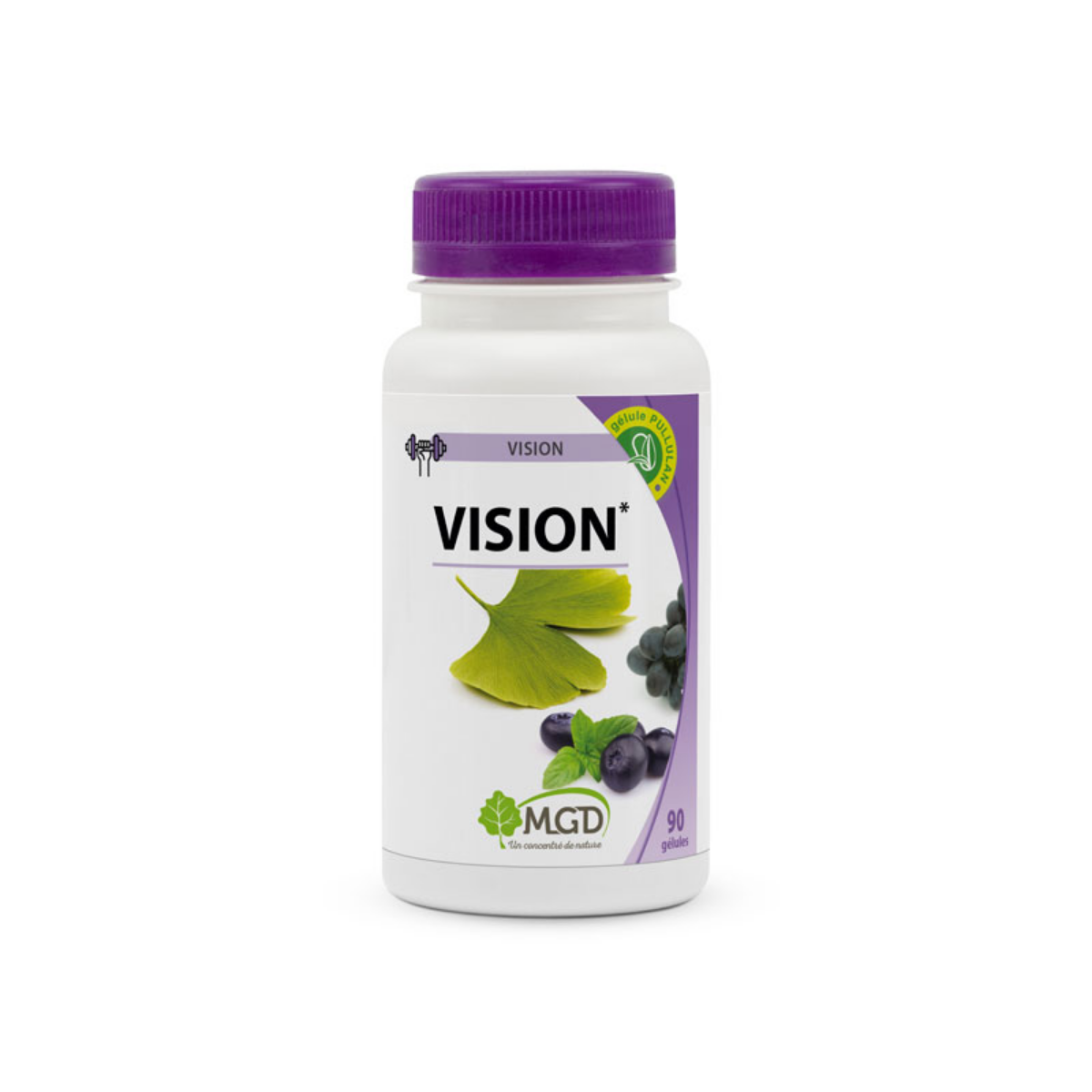 Complexe Vision
