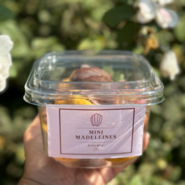 MADELEINES CHOCOLAT 15 PCS