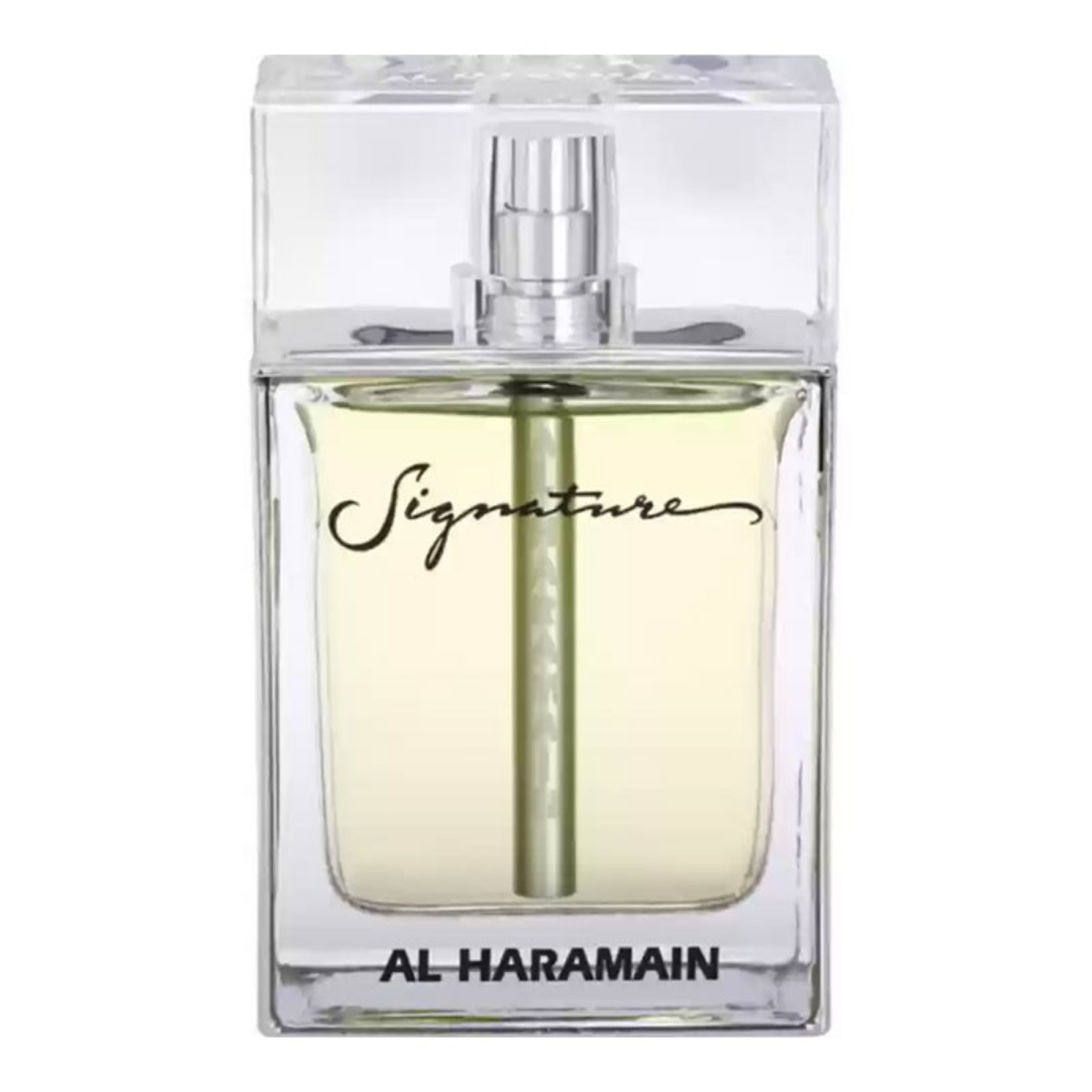 EAU DE PARFUM SIGNATURES FOR MEN SILVER