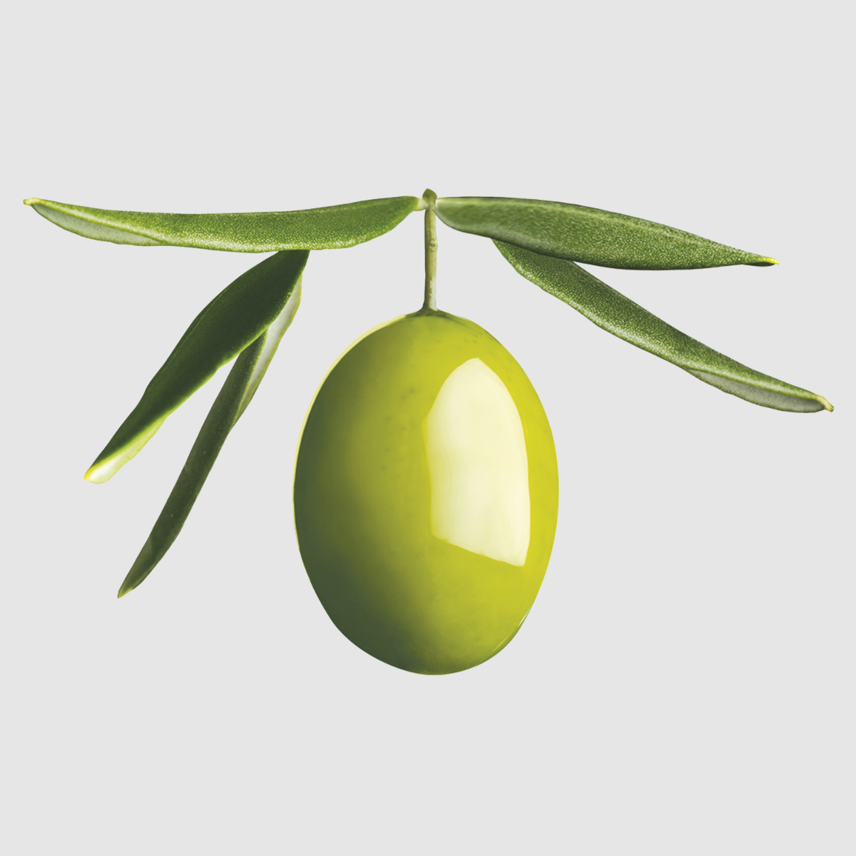 Ultra Doux - Shampooing Olive Mythique - 200ml thumbnail 4