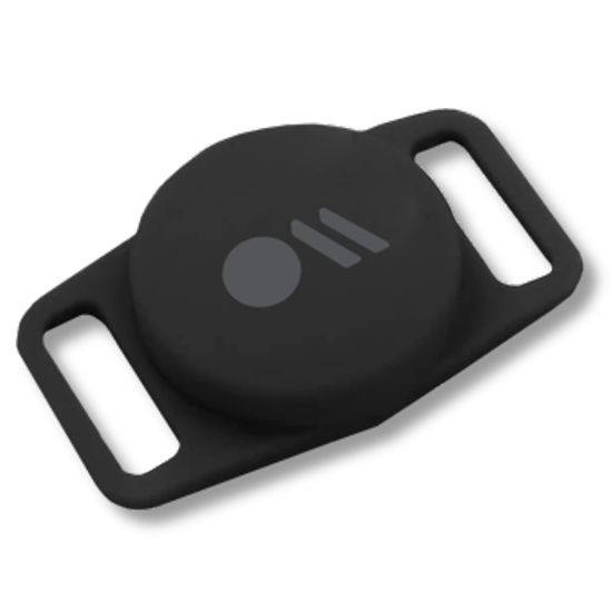 Support collier pour chien pour AirTag