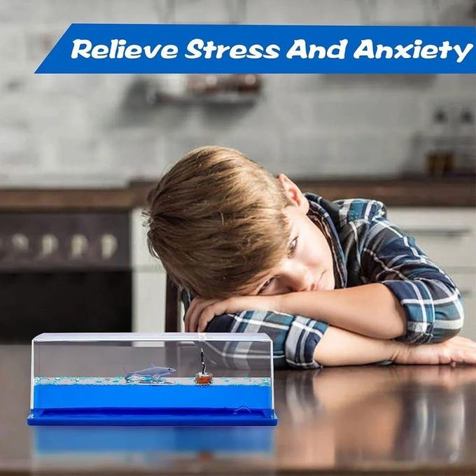 Décoration Bateau de Croisière Insubmersible dans Bouteille de Liquide - Ornement pour Bureau