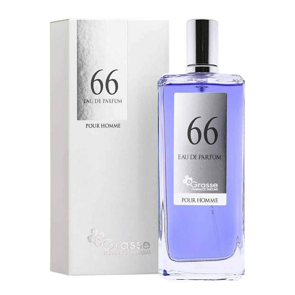 Nº66 SIMILAIRE À POLO BLUE