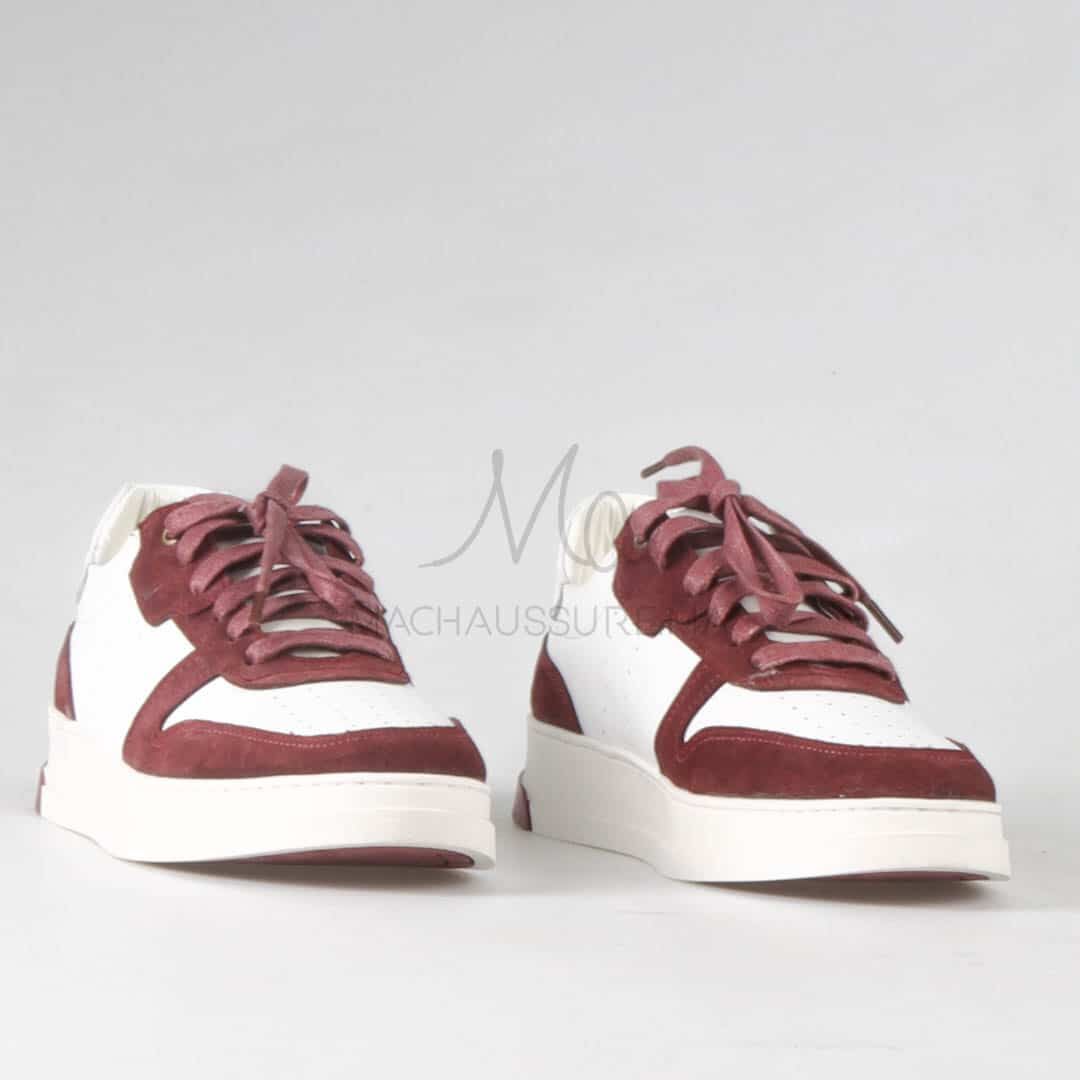 Walk – Baskets Basses 100% Cuir