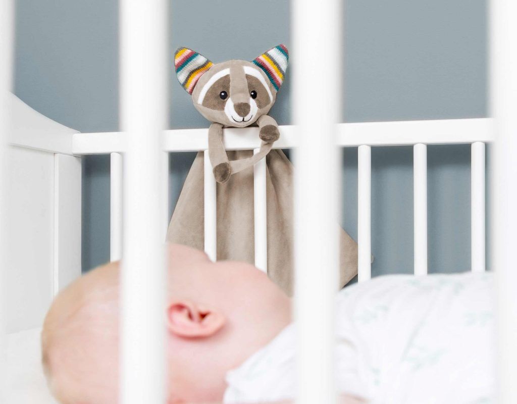 Robin the Raccoon Baby Comforter with Removable Sound Module