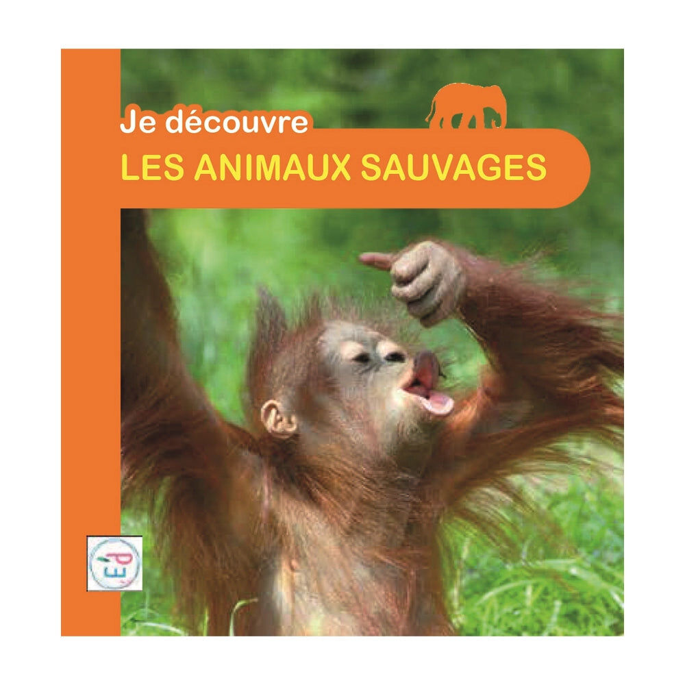 LES ANIMAUX SAUVAGES - JE DECOUVRE