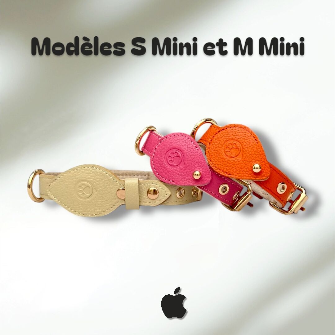 Collier en Cuir compatible AirTag
