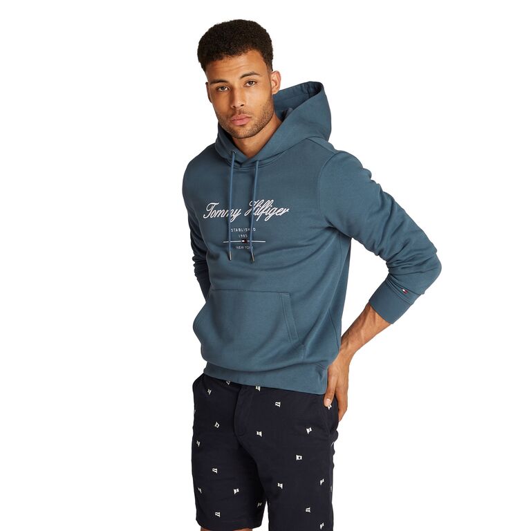 Script Logo Hoody thumbnail 1