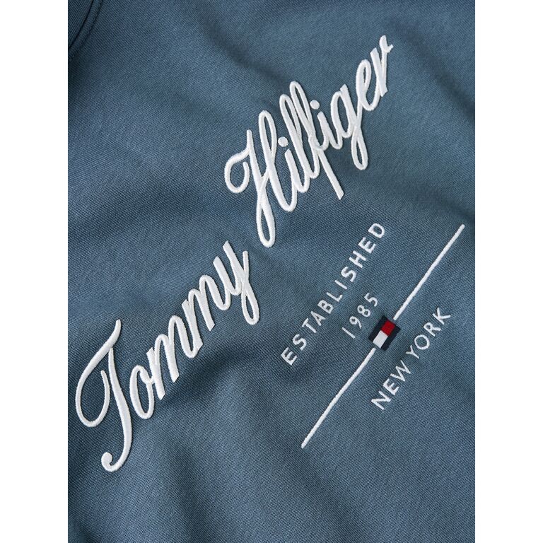 Script Logo Hoody thumbnail 3