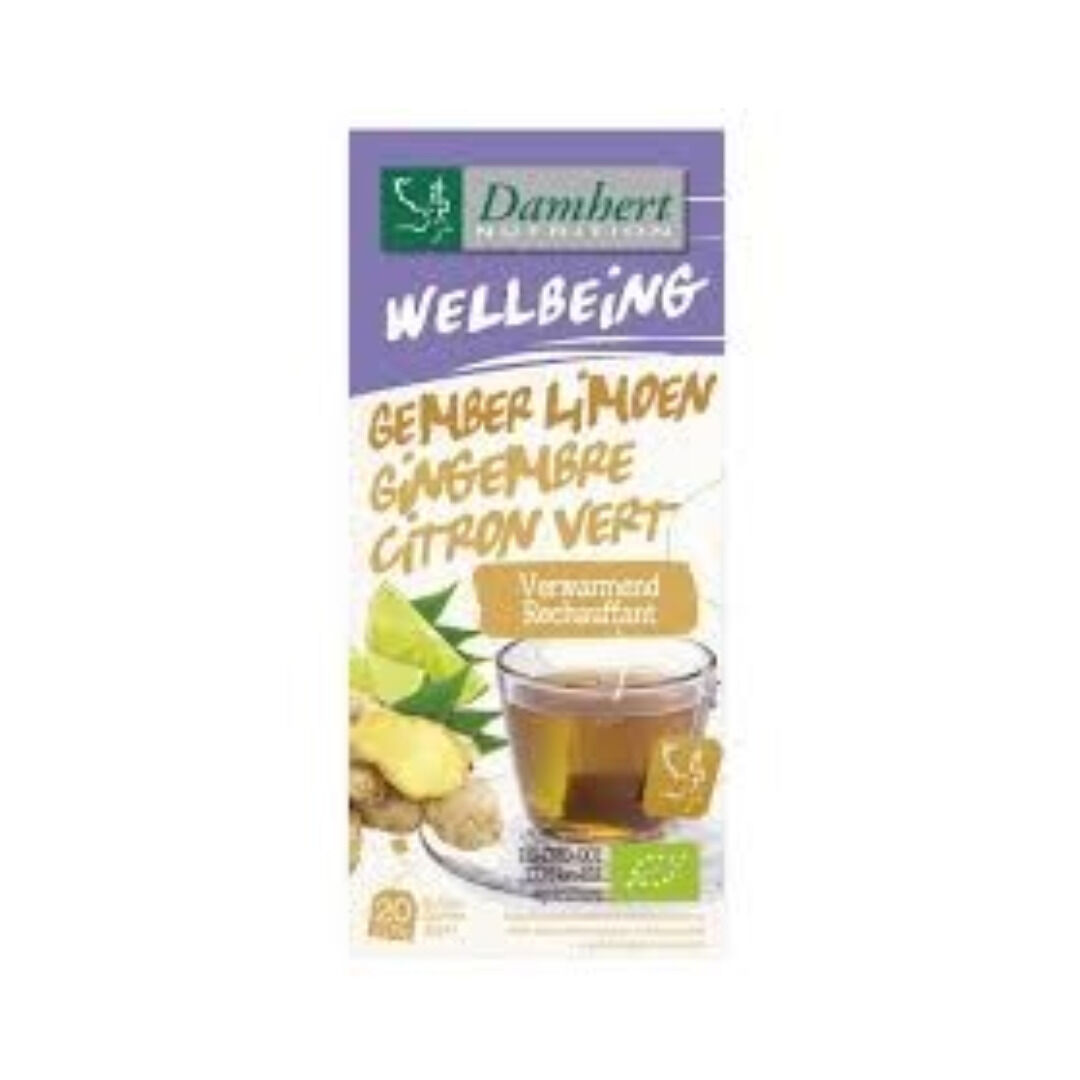 Tisane Gingembre Citron 20 sachetsdamhert
