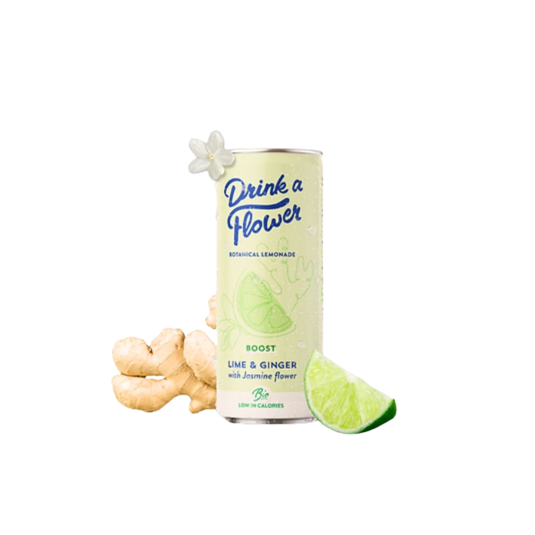 Limonade Botanique Gingembre Citron Vert 250Ml