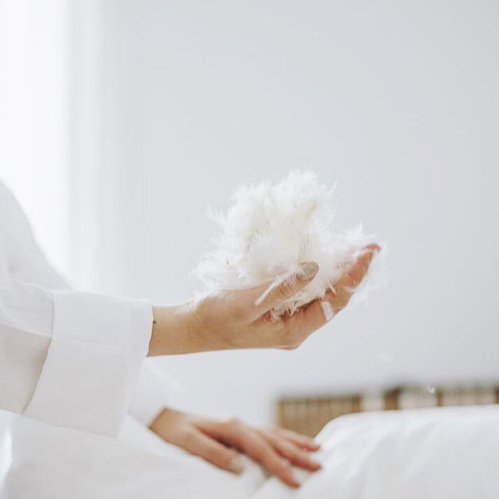 Couette Premium Mi-saison Enveloppe 100% Coton - Duvet de Canard 300g