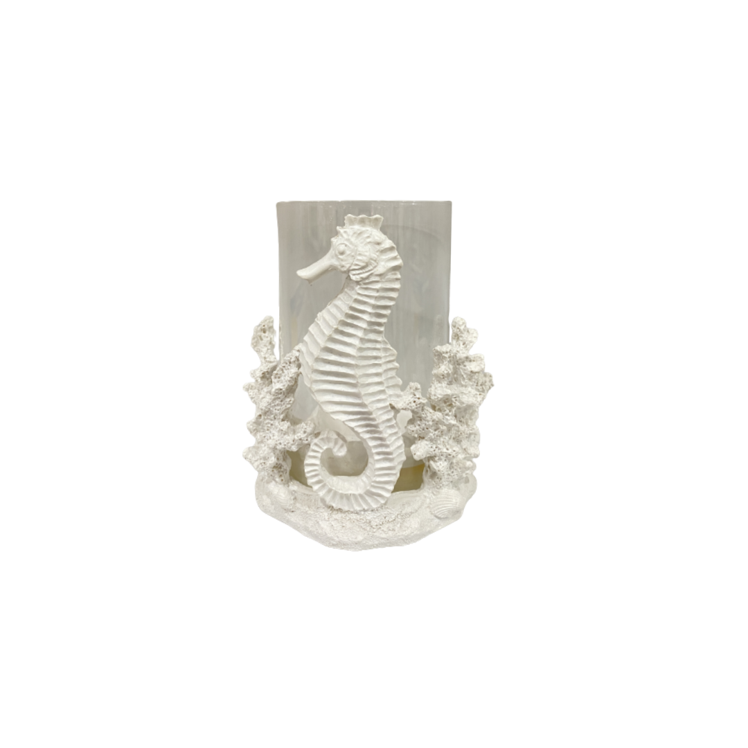 BOUGEOIRE HIPPOCAMPE -OCEAN