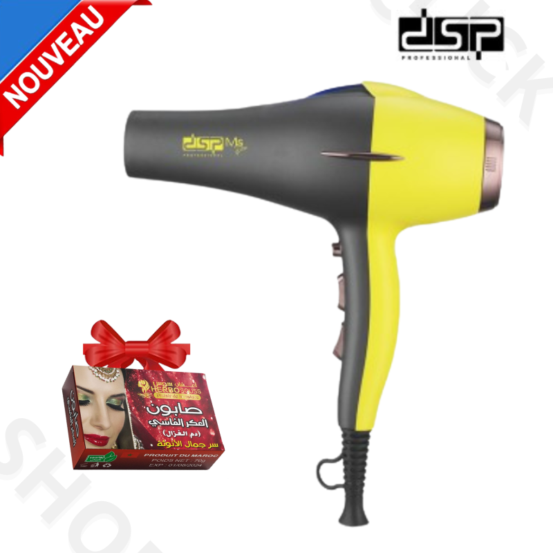 Sèche-Cheveux Séchage Rapide Puissant 1800W DSP-37001