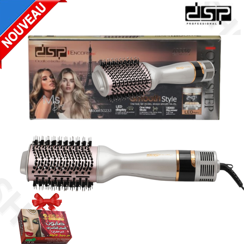 sèche-cheveux professionnel DSP-50235 moteur à courant alternatif ménage salon de coiffure 1000w