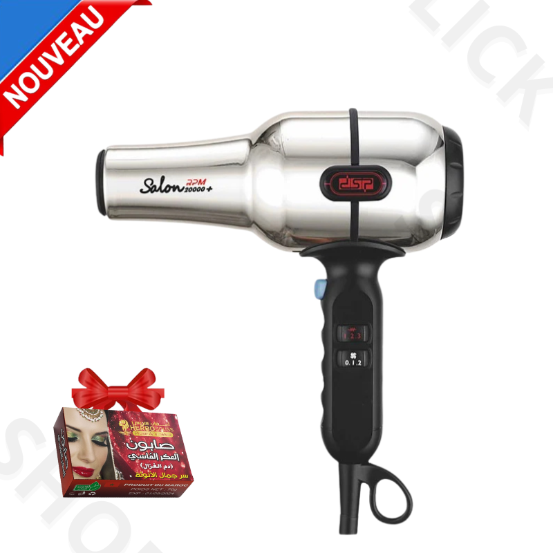 sèche-cheveux professionnel moteur à courant alternatif ménage salon de coiffure DSP-30387