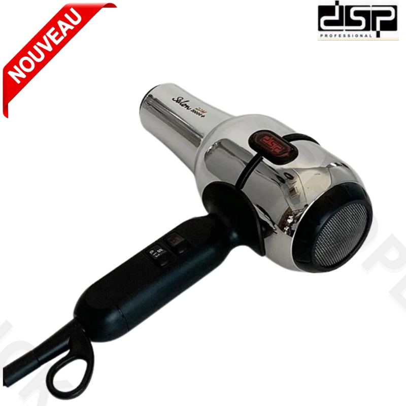 sèche-cheveux professionnel moteur à courant alternatif ménage salon de coiffure DSP-30387