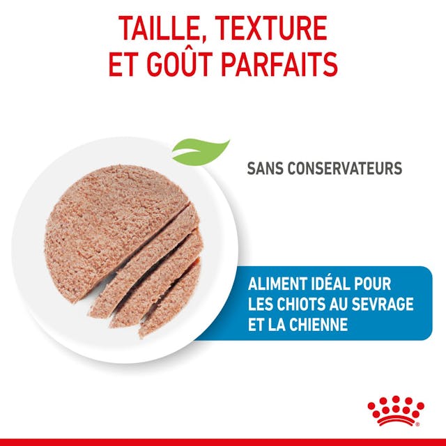 Royal Canin Starter Mousse Ultra Douce pour Chiens Mère et Bébé (195g)