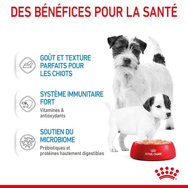 Royal Canin Starter Mousse Ultra Douce pour Chiens Mère et Bébé (195g) thumbnail 3