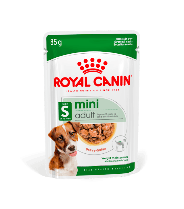 Royal Canin Mini Adult - Morsels in Gravy - Nourriture humide pour chiens (85 g)