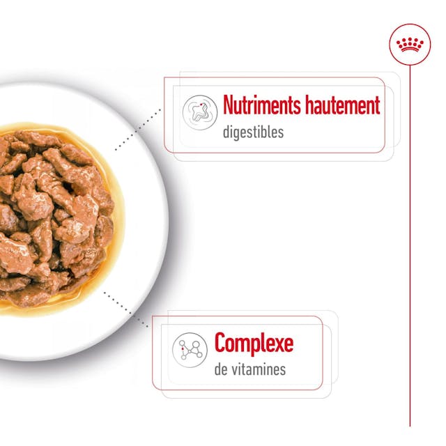 Royal Canin Mini Adult - Morsels in Gravy - Nourriture humide pour chiens (85 g) thumbnail 3