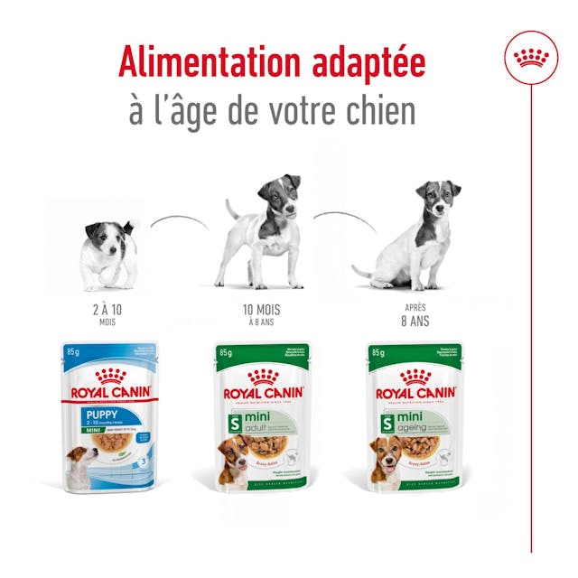 Royal Canin Mini Adult - Morsels in Gravy - Nourriture humide pour chiens (85 g) thumbnail 4
