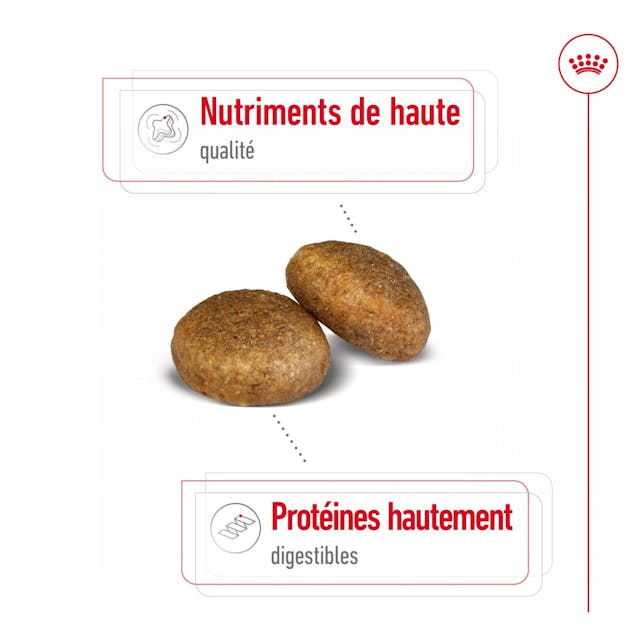 Royal Canin Maxi Adult - Croquettes pour chien thumbnail 3