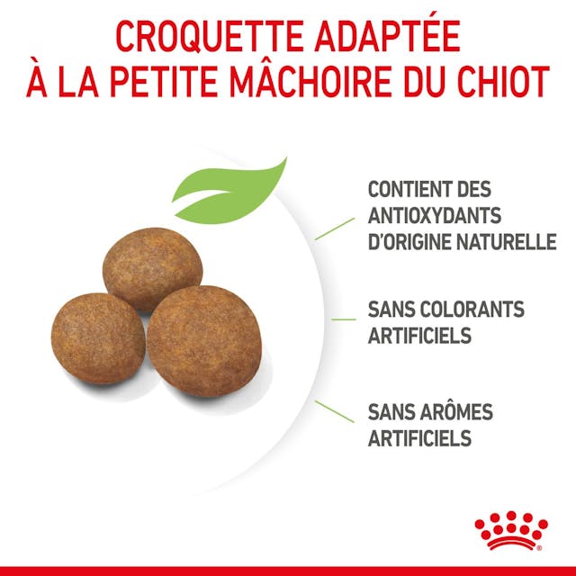 Maxi Puppy - Croquettes pour chien