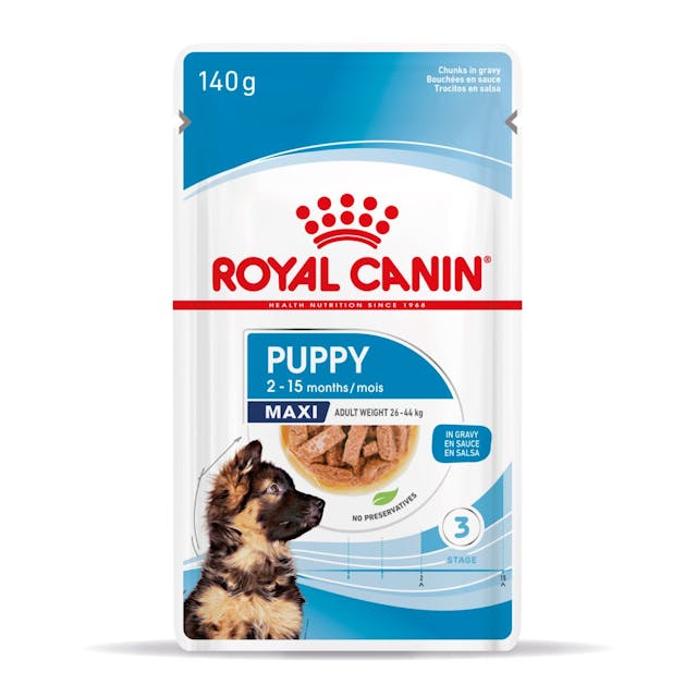Royal Canin Maxi Puppy Chunks in Gravy - Nourriture humide pour chiens (140 g)