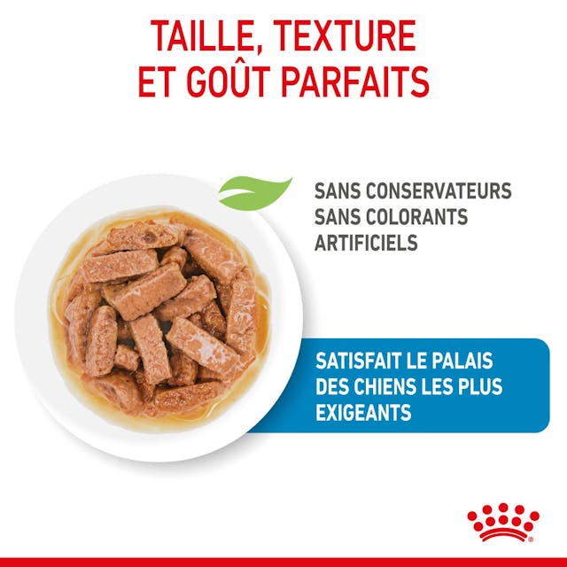 Royal Canin Maxi Puppy Chunks in Gravy - Nourriture humide pour chiens (140 g)