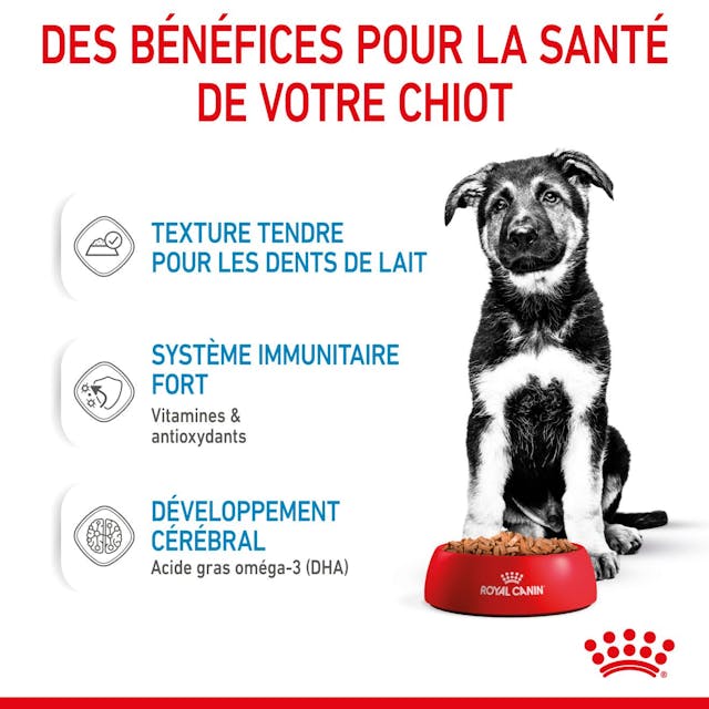 Royal Canin Maxi Puppy Chunks in Gravy - Nourriture humide pour chiens (140 g) thumbnail 3