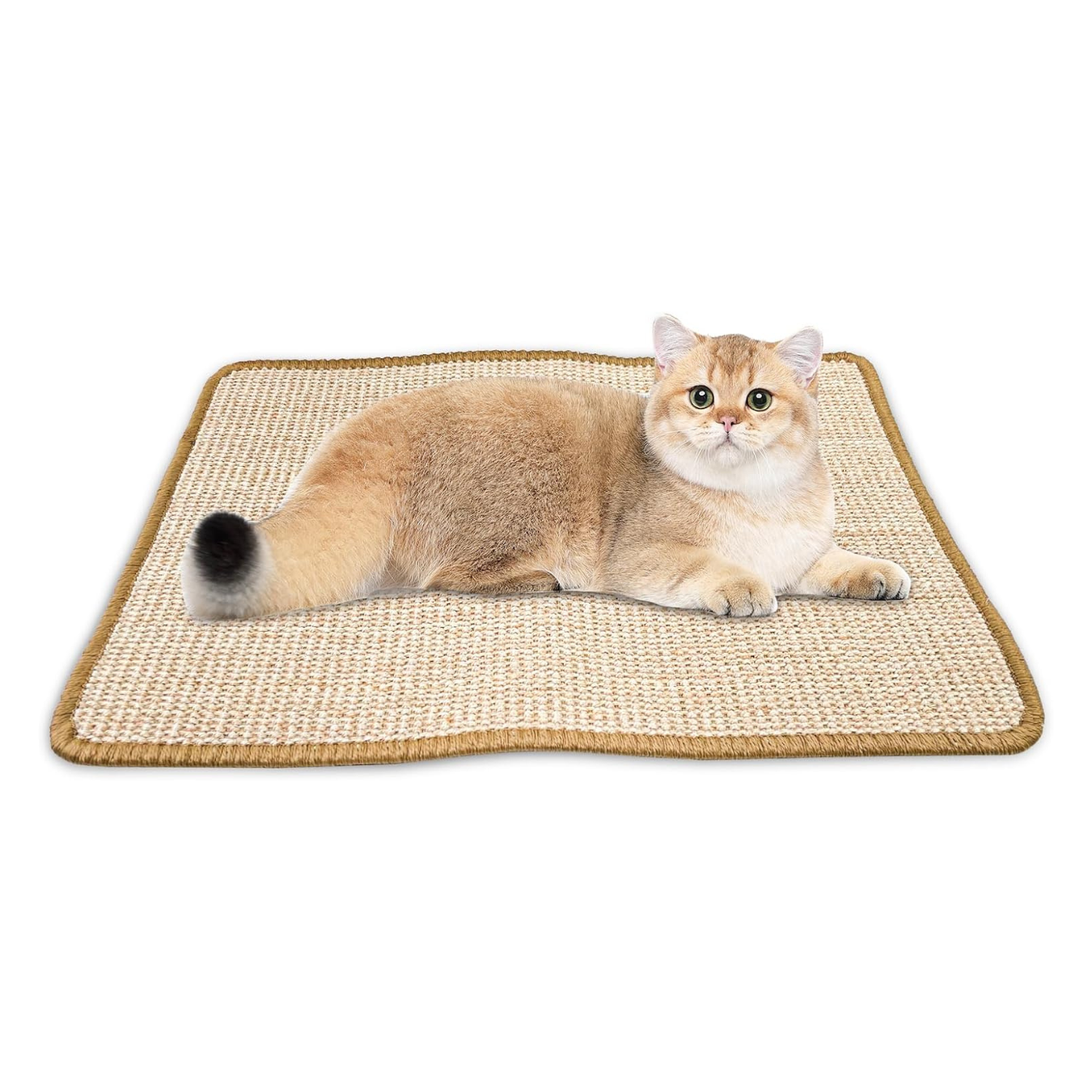 Tapis griffoir pour Chat, protège-meubles, pour un soin sain des ongles