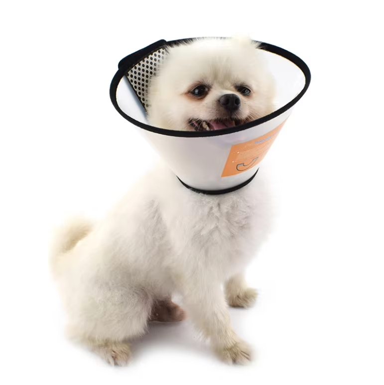 Colerette de Récupération Ajustable – 7 Tailles pour Chiens et Chats (15–46 cm)