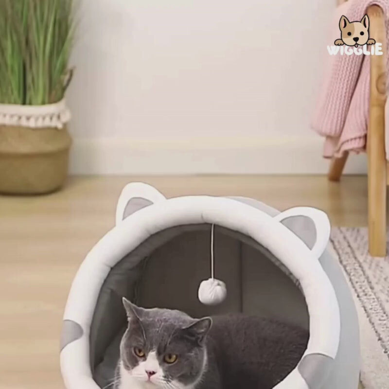 Lit pour chat et chien - Grotte avec Oreiller et Jouet - Lavable en Machine thumbnail 4