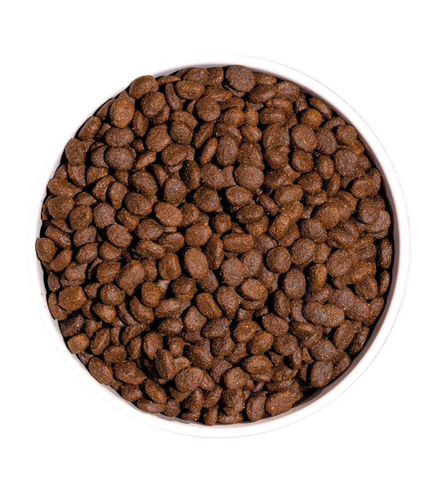 Grain Free PRIME ADULT POULET ET DINDE - Pour chats adultes (8 kg) thumbnail 3