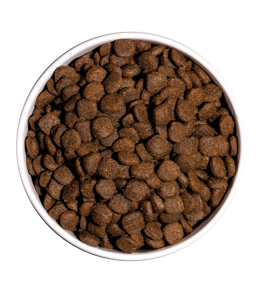 Ultra Medium Junior – Nutrition premium pour chiots de taille moyenne thumbnail 3