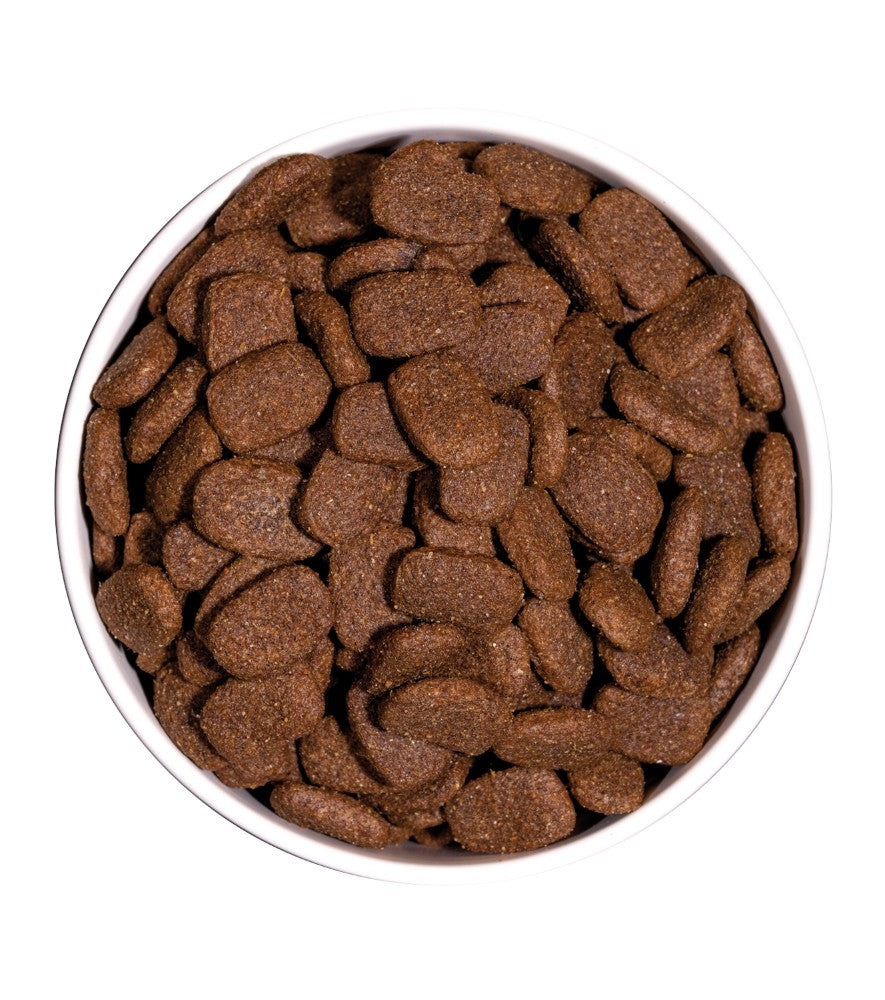 Croquettes Pour Chien thumbnail 3