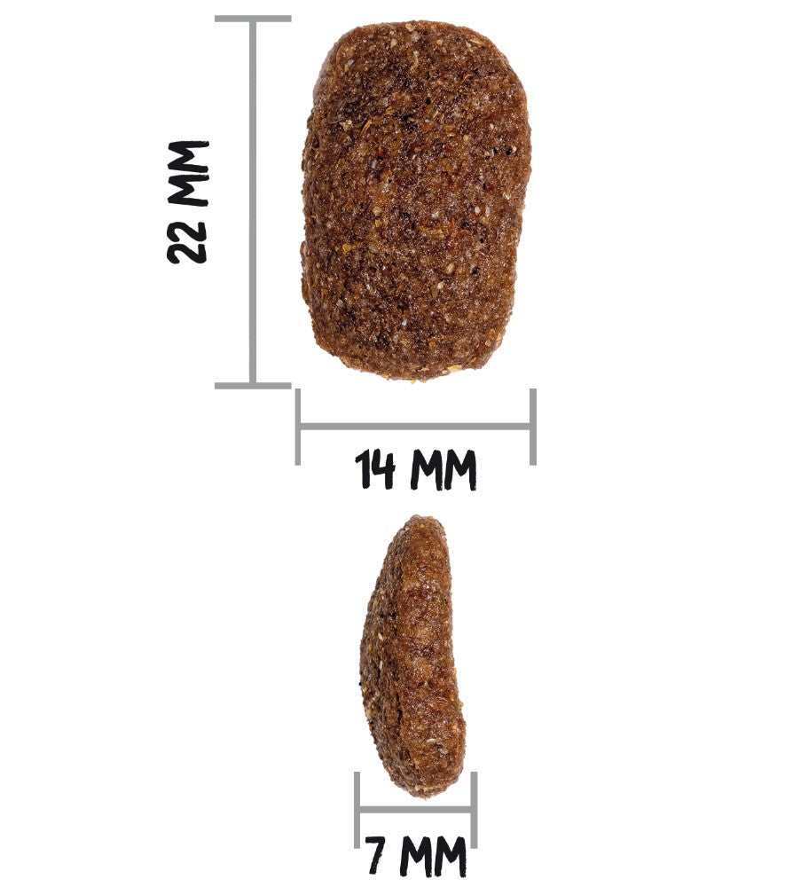 Croquettes Pour Chien thumbnail 4