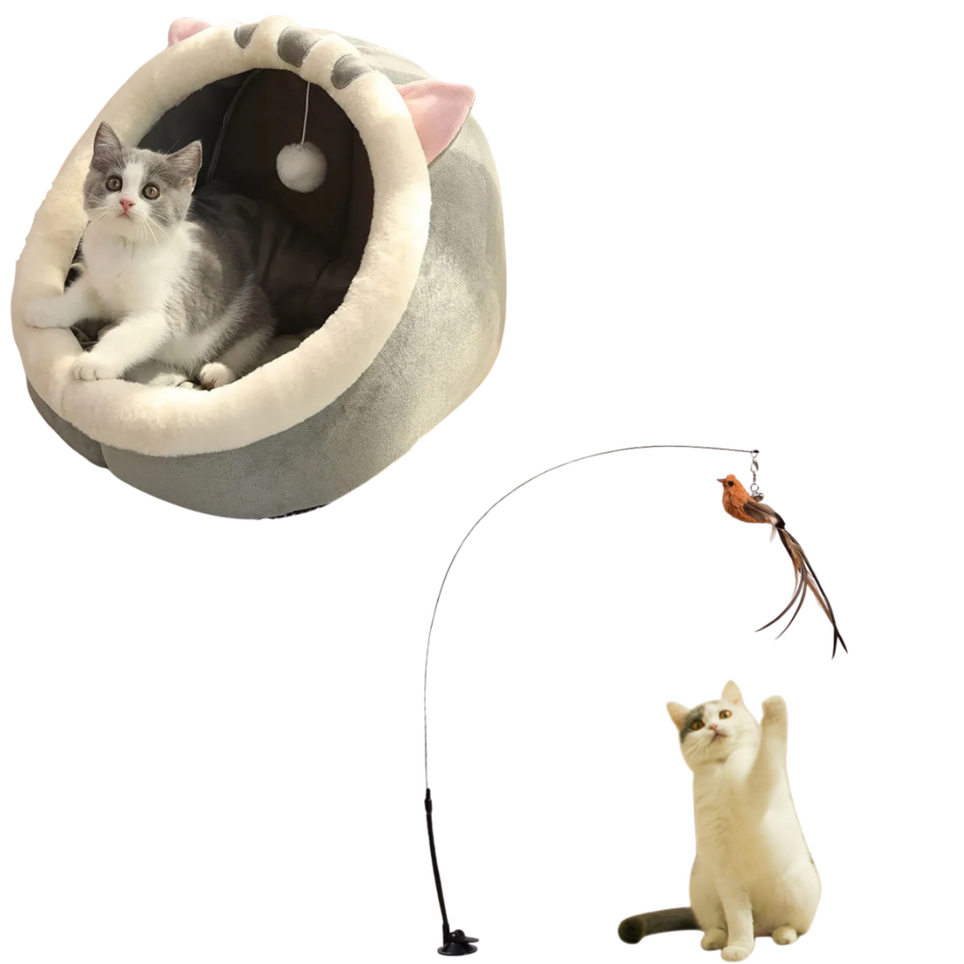 Jouet Plume + Lit Douillet pour Chat