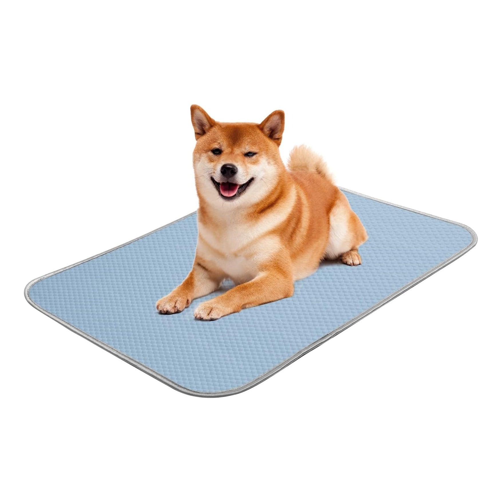 Tapis Rafraîchissant Été pour Chiens & Chats – Coussin en Soie de Glace Lavable