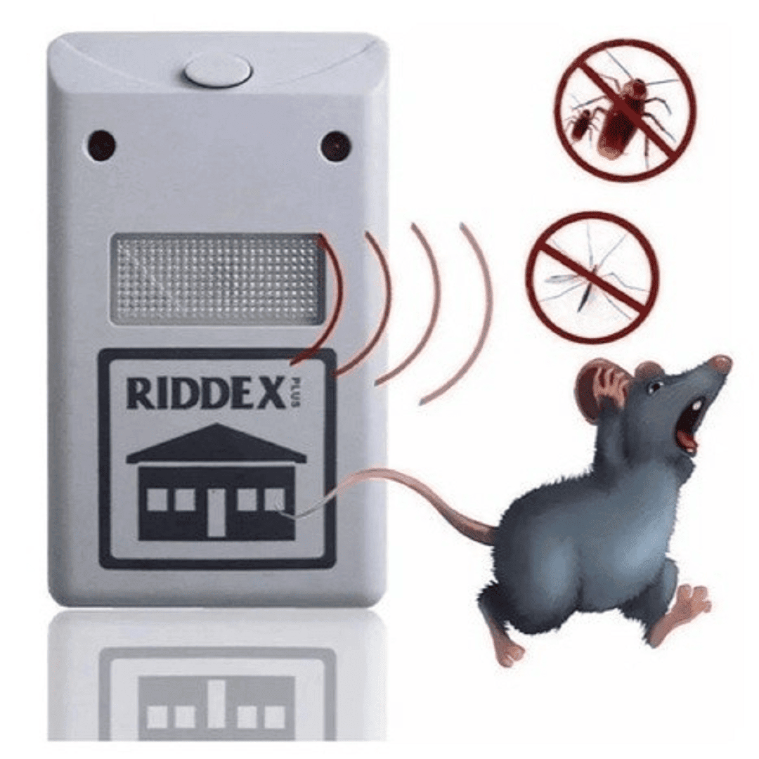 Insecticide Antiparasitaire