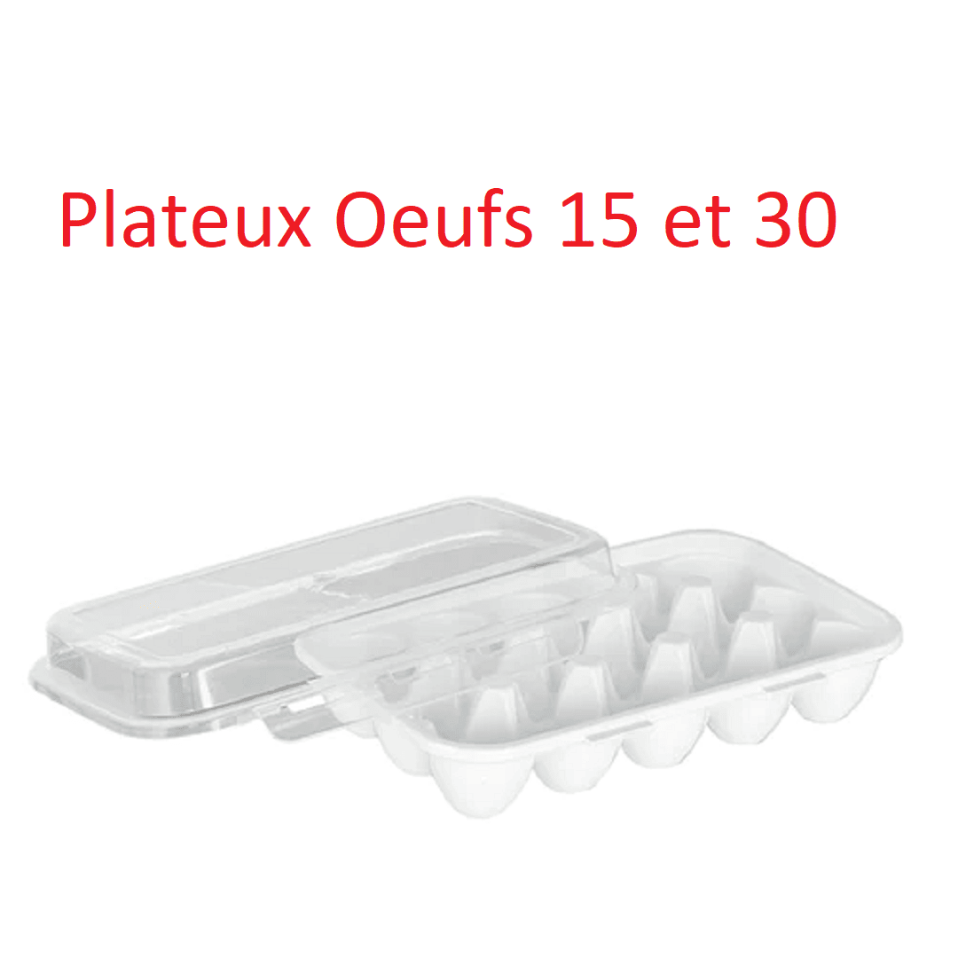 Boîte de Rangement des œufs au Réfrigérateur