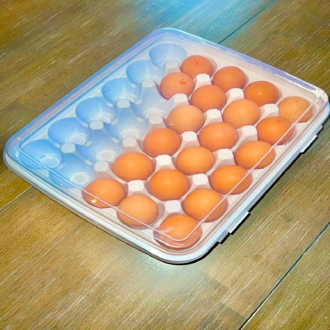 Boîte de Rangement des œufs au Réfrigérateur thumbnail 3